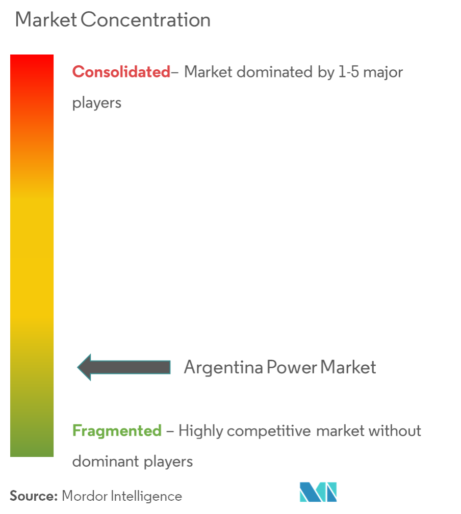 Argentina Power Market - Market Concentration